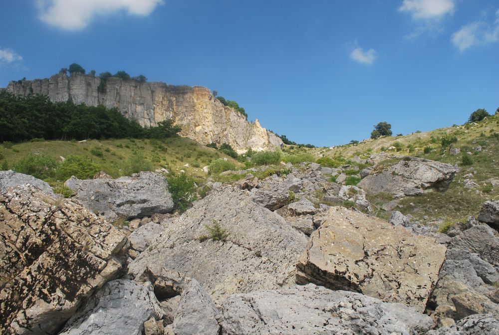 Scarpe clearance trekking rimini
